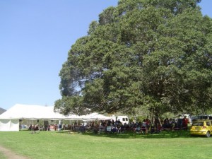 Neurum Creek Tree & Festival